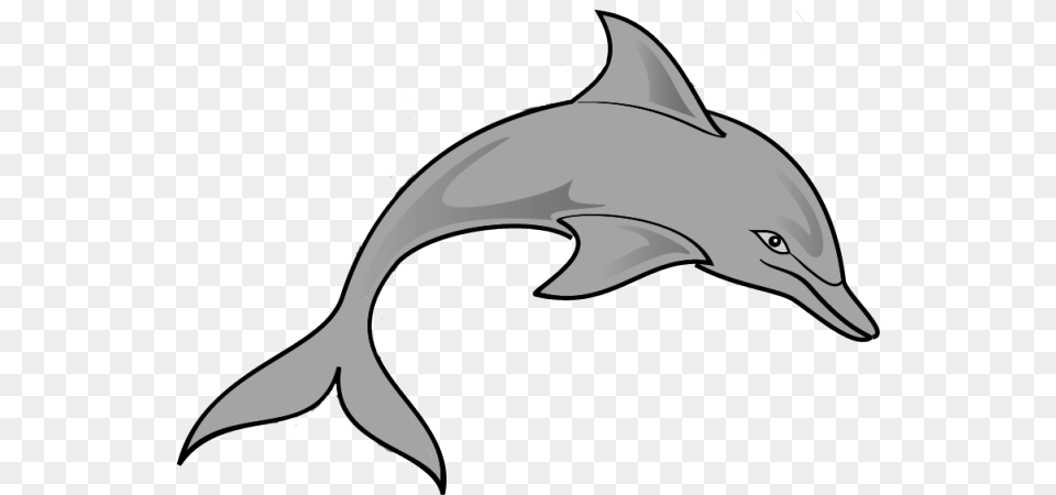 Mean Dolphin Clipart, Animal, Mammal, Sea Life, Fish Free Png Download