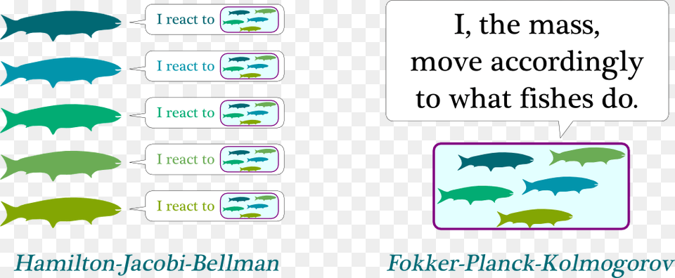 Mean Field Game Theory, Animal, Fish, Sea Life, Text Png Image
