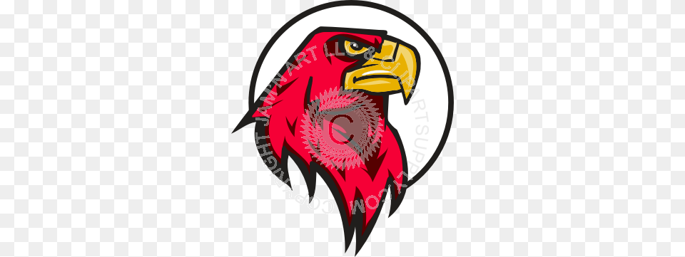 Mean Hawk Head In Color, Animal, Beak, Bird, Eagle Free Transparent Png