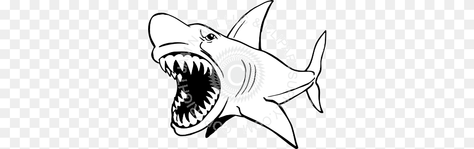 Mean Shark Clip Art, Animal, Fish, Sea Life Free Transparent Png