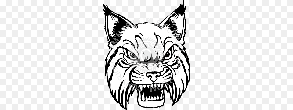 Mean Wildcat Head Facing Front Black White, Baby, Person, Animal, Lion Free Transparent Png