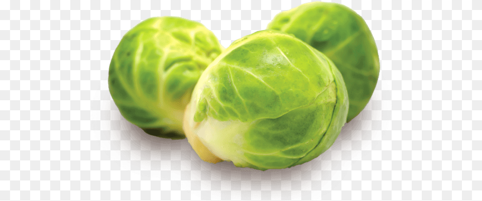 Meaning Brussels Sprouts In Hindi, Food, Produce, Brussel Sprouts, Plant Free Png Download