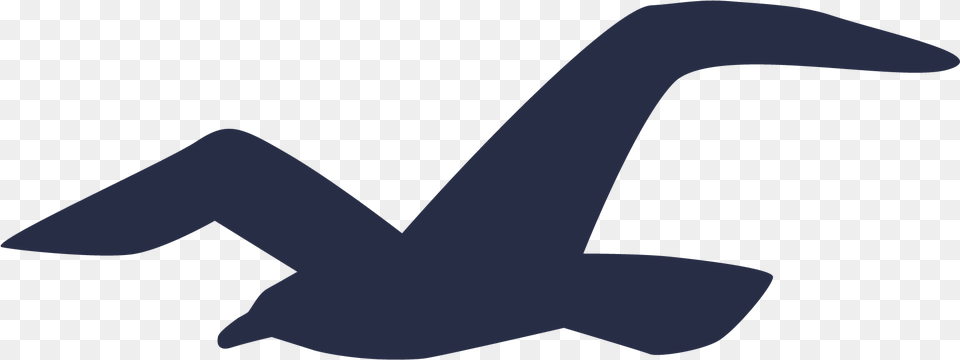 Meaning Hollister Logo And Symbol Hollister Logo, Animal, Bird, Goose, Waterfowl Png Image