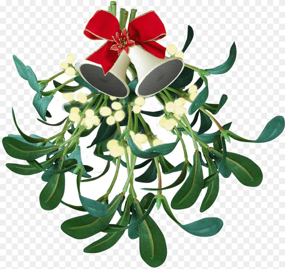 Meaning Mistletoe Christmas, Flower, Flower Arrangement, Flower Bouquet, Plant Free Png Download