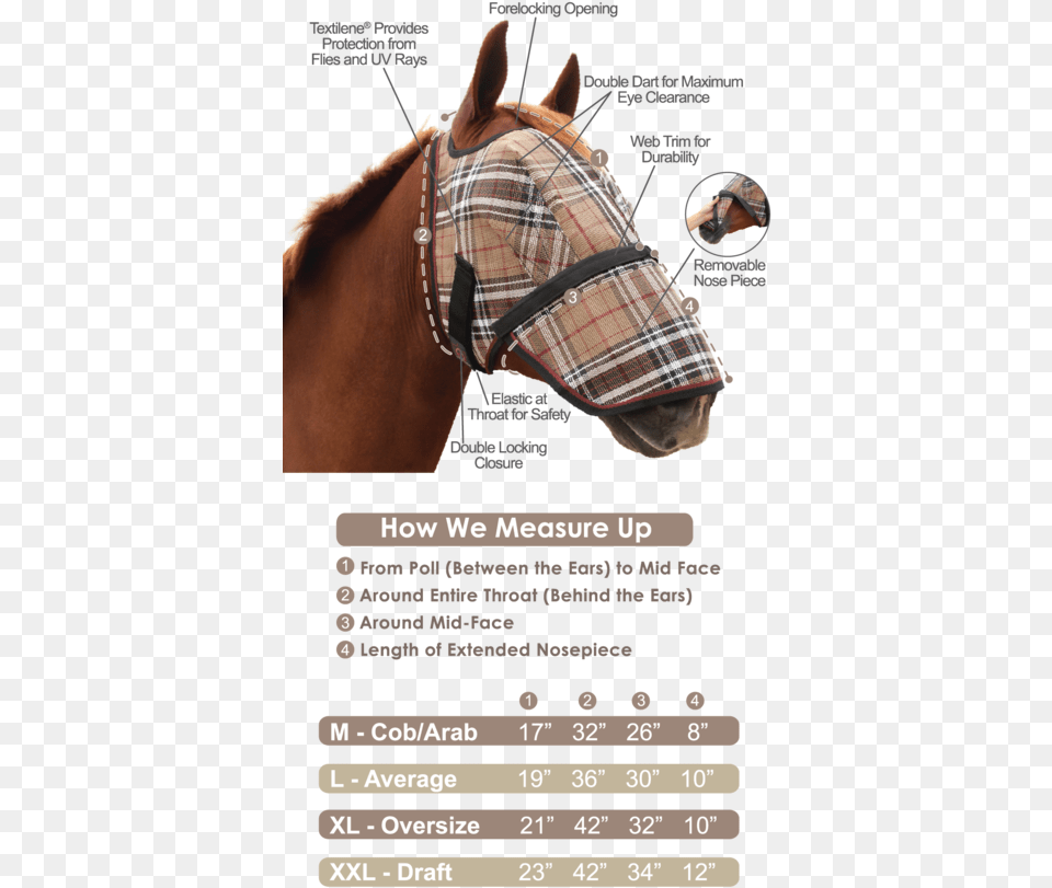 Measure A Horse For A Fly Mask, Animal, Mammal, Person Png
