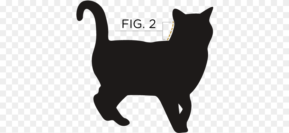 Measure From The Base Of Your Cat39s Ears To Their Shoulder Cat Vector, Animal, Mammal, Pet Free Png Download