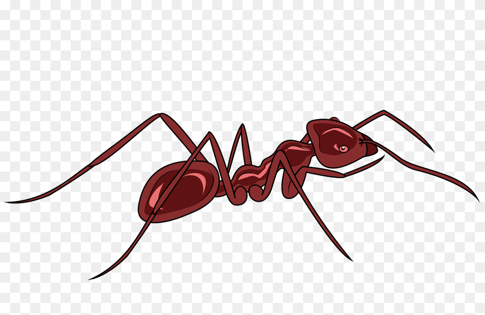 Meat Ant Clipart, Animal, Insect, Invertebrate, Fish Png