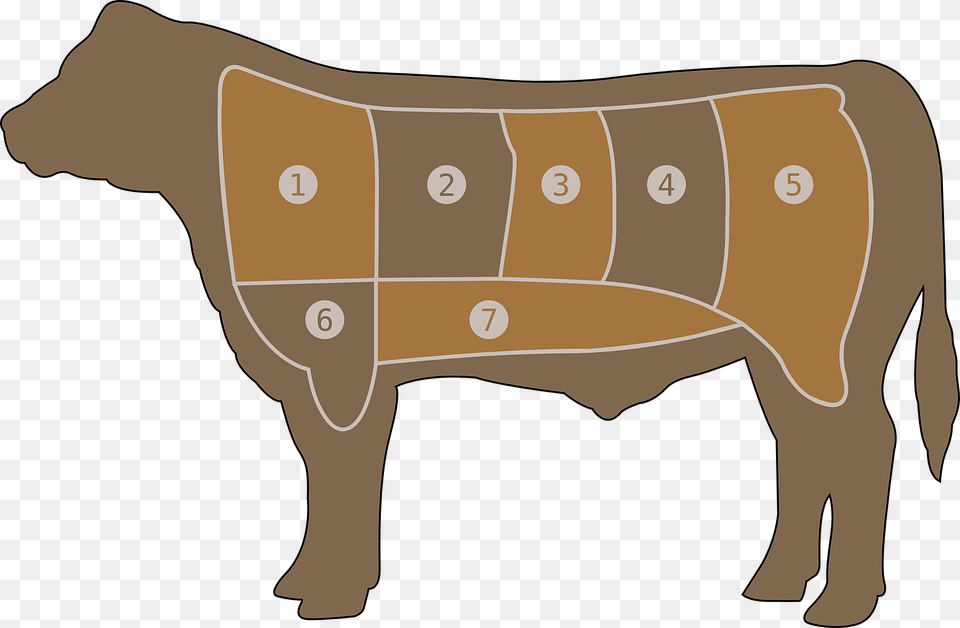 Meat Chart Beef Butcher Cow Steak Farm Part Outline Of Beef Cuts, Animal, Bull, Mammal, Cattle Free Png