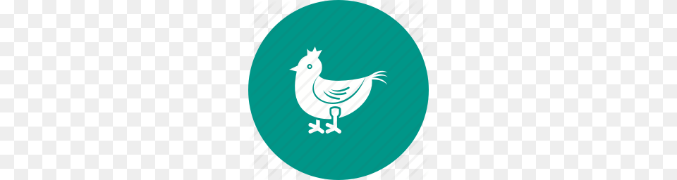 Meat Clipart Chicken Dinner, Animal Png