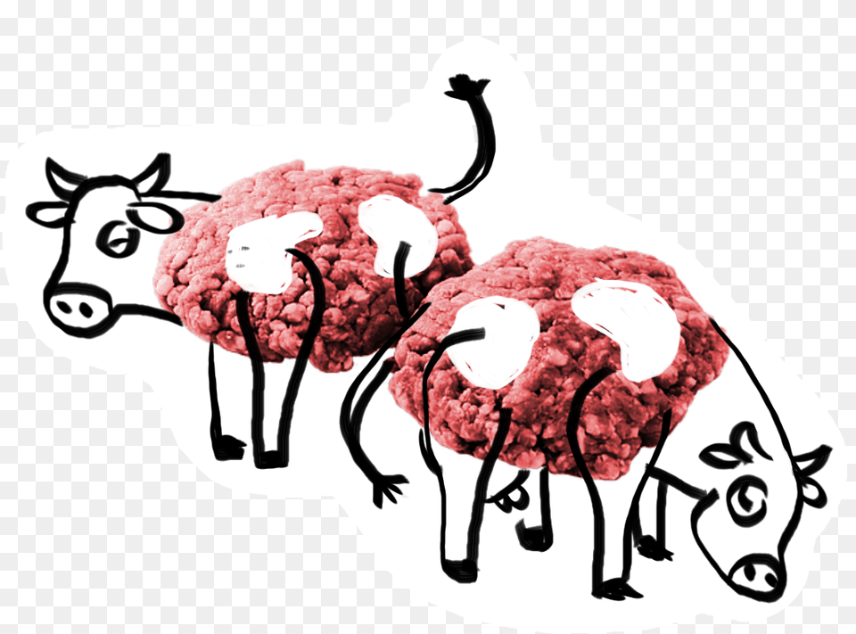 Meat Slaughtering Process Cartoon, Animal, Bird, Cattle, Cow Png Image