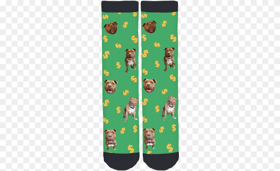 Meaty The Pit Bull Crew Socks Sock, Animal, Canine, Dog, Mammal Free Png Download