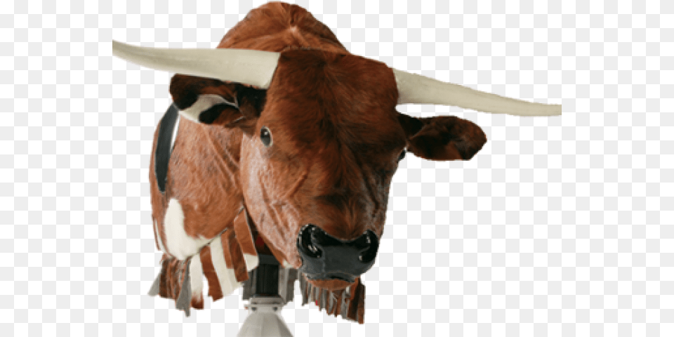 Mechanical Bull, Animal, Mammal, Cattle, Livestock Free Transparent Png