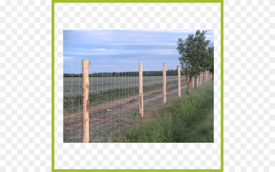 Mechanical Fence Systems Split Rail Fence, Outdoors, Nature, Plant, Tree Free Transparent Png