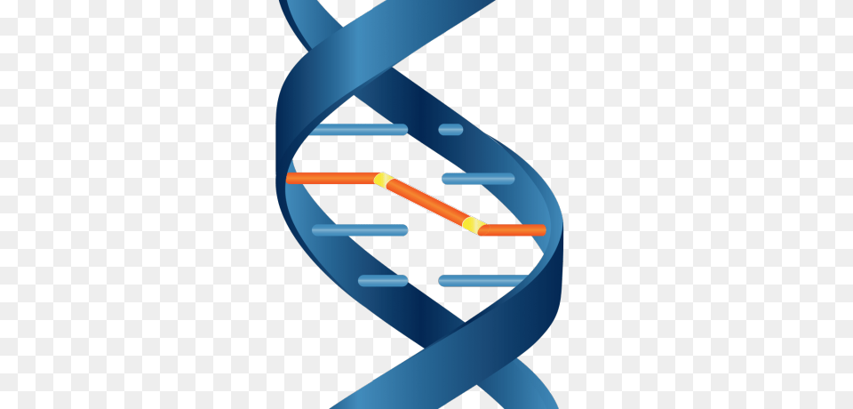 Mechanism Of Action, Architecture, Building, Coil, House Png