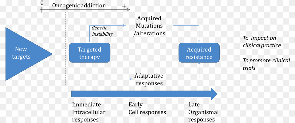 Mechanisms Of Resistance And New Targets Research Center In Cancer De Toulouse, Diagram, Uml Diagram Free Png