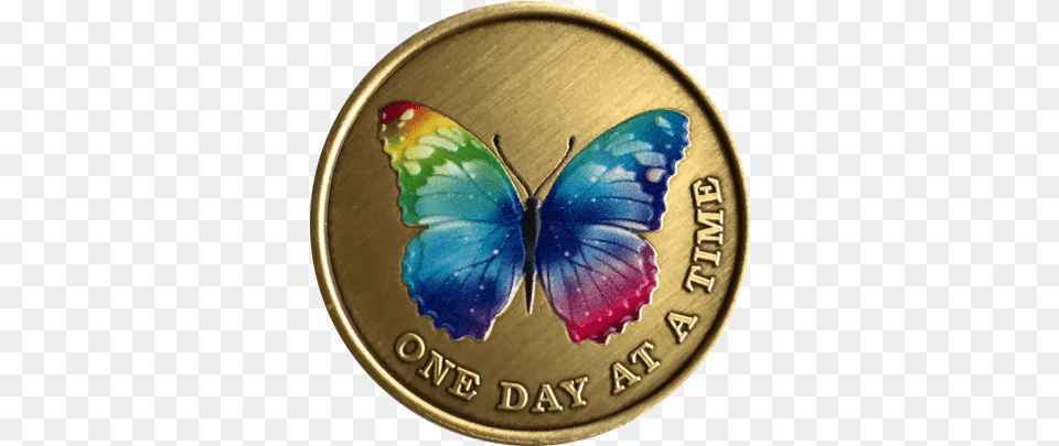 Medallion And Vectors For Butterflies, Coin, Money Free Transparent Png