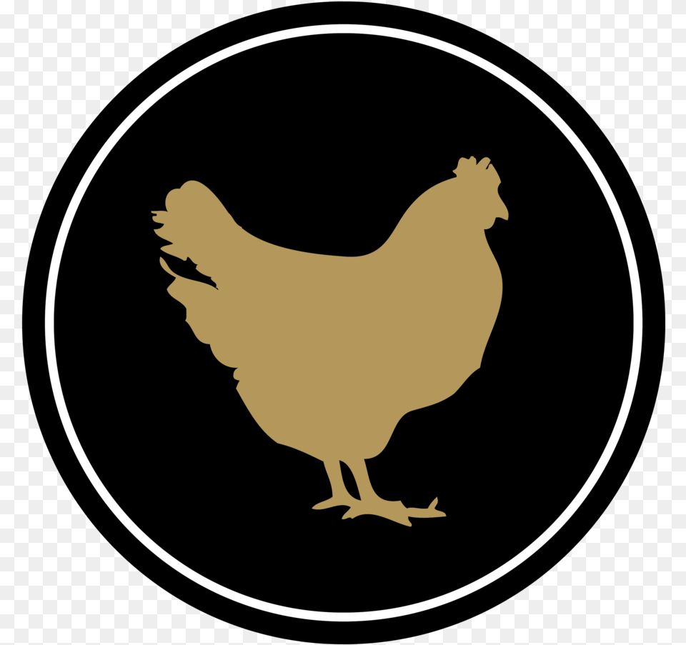 Medallions, Animal, Bird, Chicken, Fowl Free Transparent Png