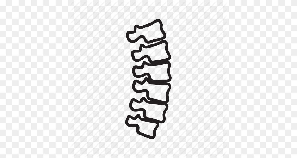 Medcine Orthopedic Ridge Spine Icon, Spiral, Coil, Machine, Rotor Free Transparent Png