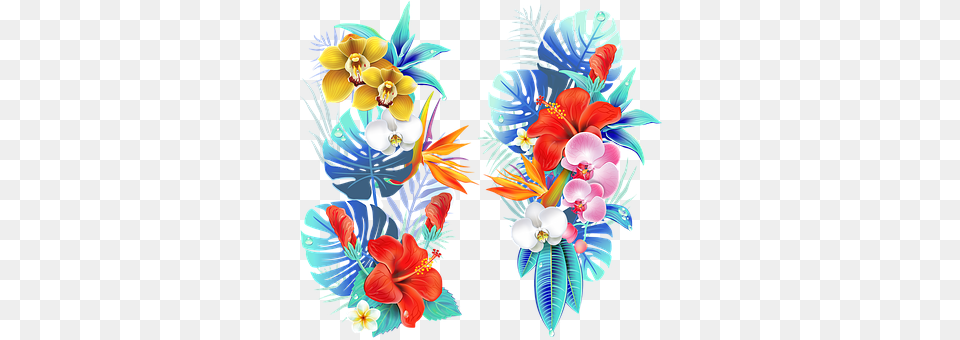 Medellin U0026 Colombia Illustrations Pixabay Flowers Tropical, Plant, Art, Floral Design, Flower Png Image
