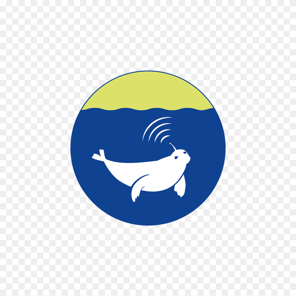 Media Atlantos, Animal, Dolphin, Mammal, Sea Life Free Transparent Png