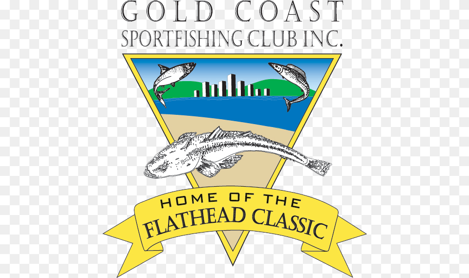 Media Gold Coast Flathead Classic Cartoon, Animal, Fish, Sea Life Free Png Download