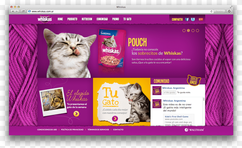 Media Space Cat, Purple, Advertisement, File, Animal Free Png Download