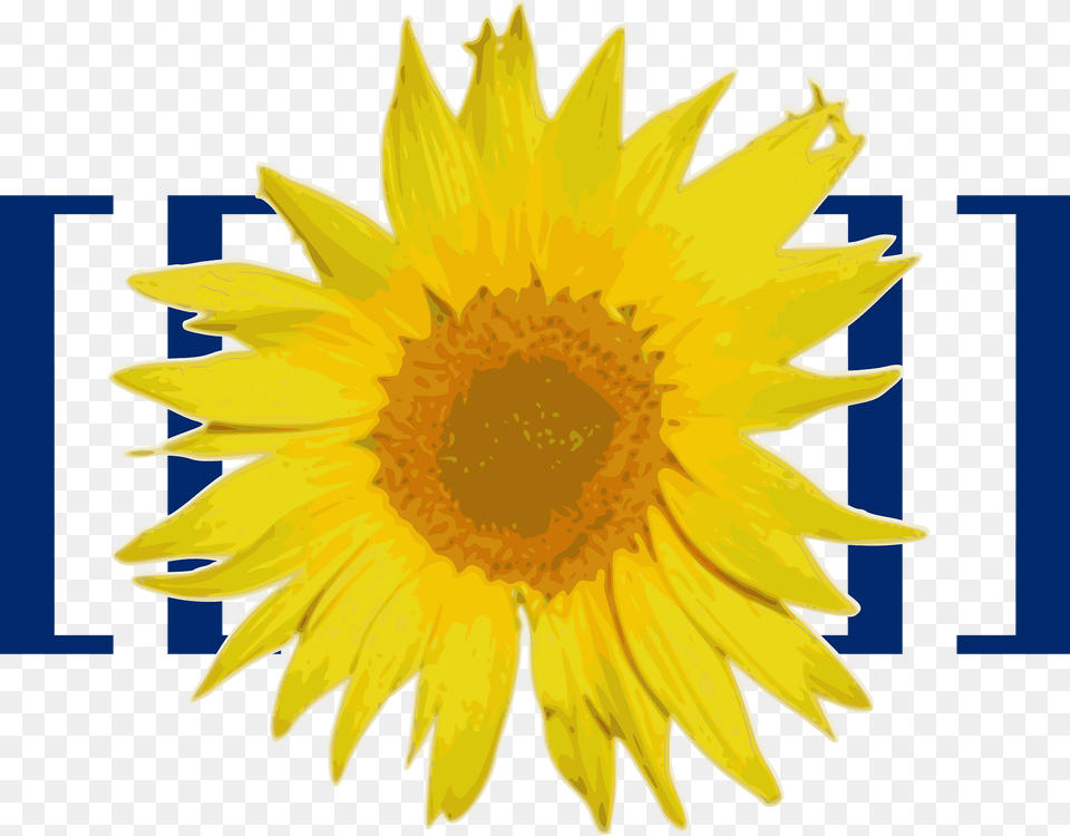 Mediawiki Clipart, Flower, Plant, Sunflower, Bonfire Free Png