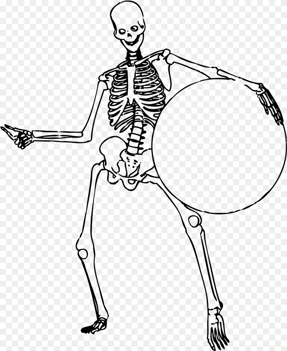 Medical Body Outline At Skeleton Transparent, Nature, Night, Outdoors Free Png Download