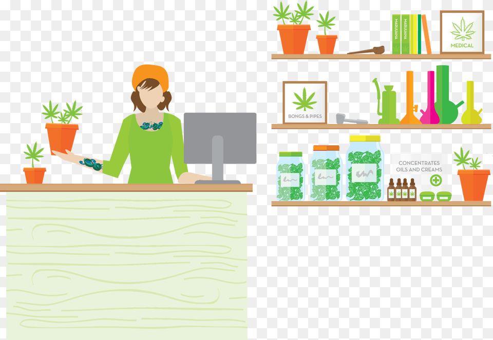 Medical Cannabis, Potted Plant, Plant, Adult, Woman Png Image