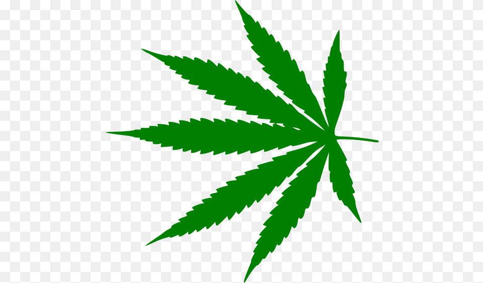 Medical Cannabis Legalization Amazon Cannabis, Leaf, Plant, Weed Png Image