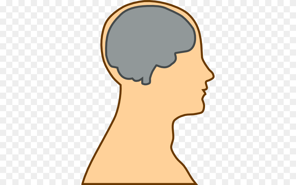 Medical Diagram Of Brain Clip Art For Web, Body Part, Face, Head, Neck Free Transparent Png