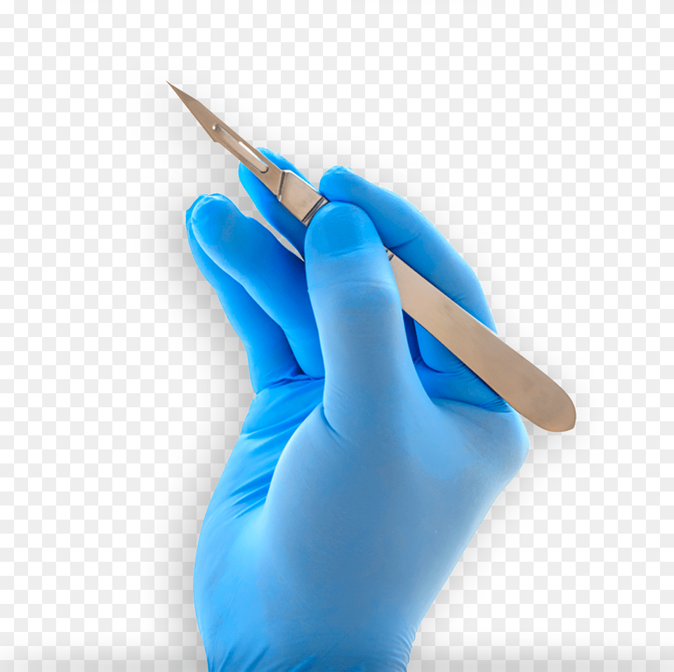 Medical Gloves, Adult, Clothing, Female, Glove Free Png Download