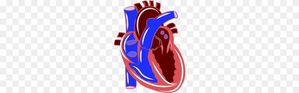 Medical Heart Clip Art Free, Clothing, Footwear, Shoe, Dynamite Png