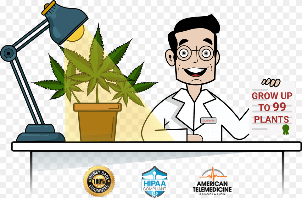 Medical Marijuana Card Online Cartoon, Person, Face, Head Free Png Download