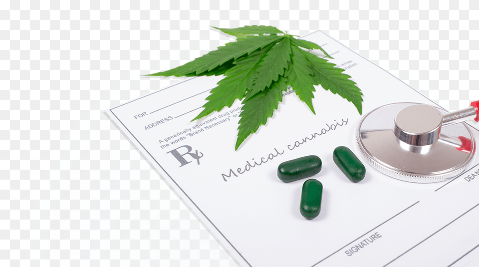 Medical Marijuana Paperwork And Stethescope Pill, Herbal, Herbs, Plant, Leaf Free Png Download