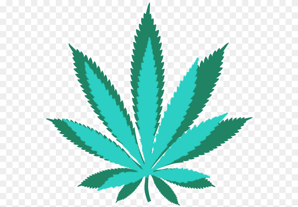 Medical Marijuana Start Marijuana Leaf, Plant, Weed, Herbal, Herbs Png Image