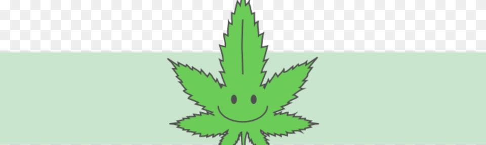 Medical Marijuana To Treat Back Pain Illustration, Plant, Weed, Leaf, Herbal Png Image