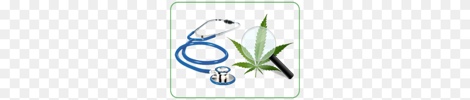 Medical Marijuana Weed List Buy Weed Online Canada, Hemp, Plant Free Png Download