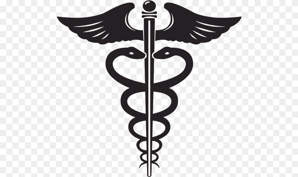 Medical Symbol With Two Snakes And Large Wings Rod Of Asclepius Vs The Caduceus, Person, Weapon Free Png