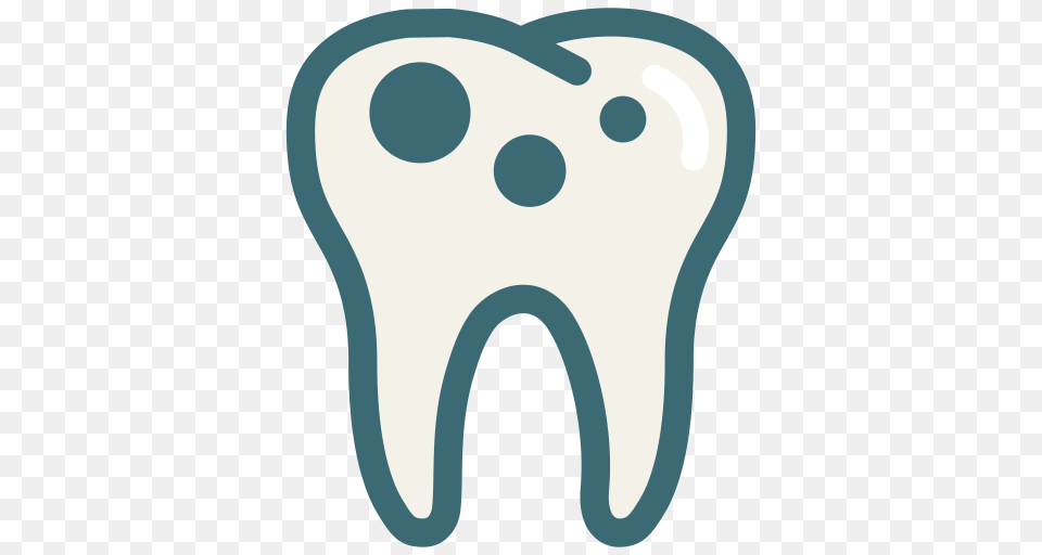 Medical Tooth Dentistry Dentist Dental Care Oral Hygiene, Animal, Bear, Mammal, Wildlife Free Png Download