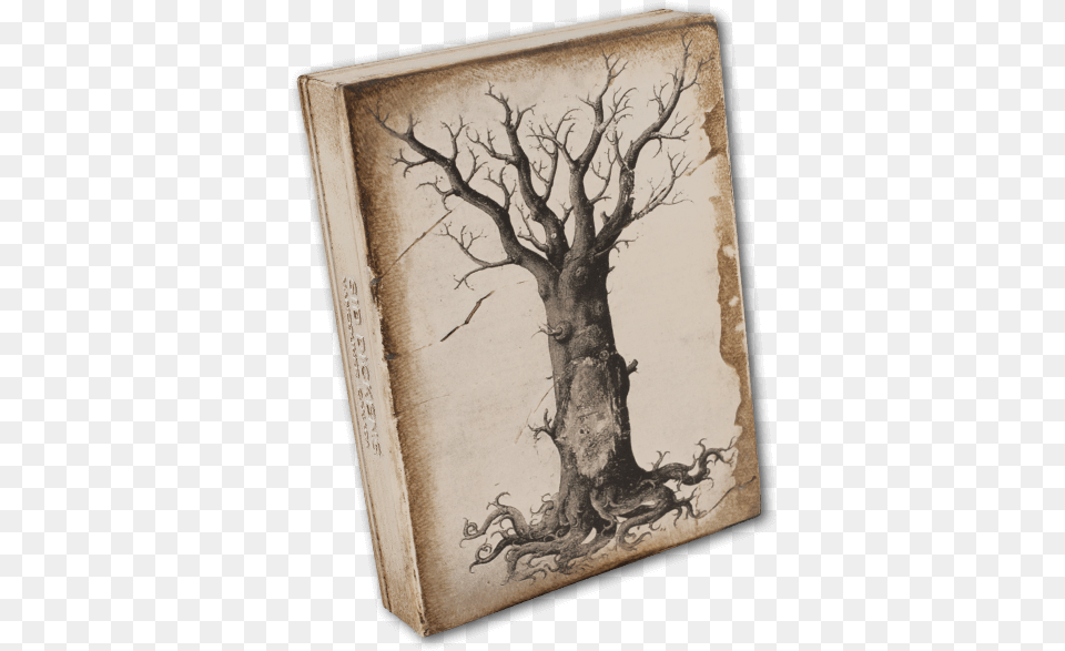 Medieval Tree Of Life Birch, Art, Painting, Plant, Tree Trunk Free Png