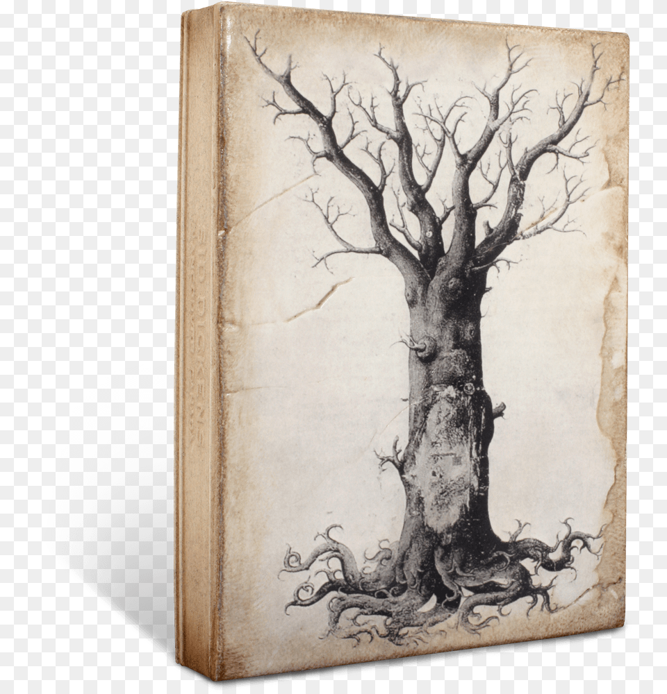 Medieval Tree Of Life John Zorn Transmigration Of The Magus, Plant, Art, Book, Painting Free Transparent Png