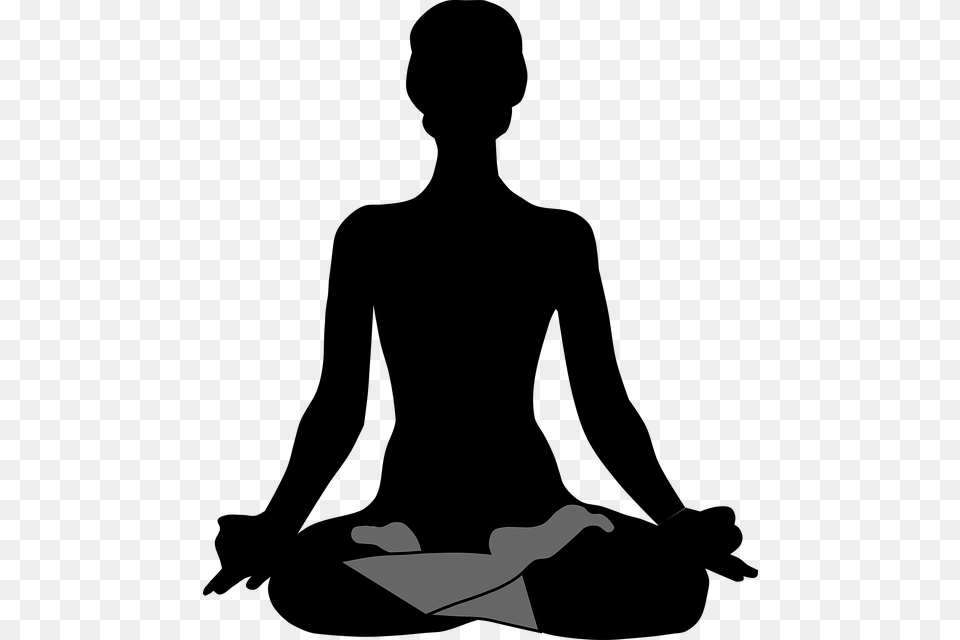 Meditating Clipart, Animal, Bird, Silhouette Png Image