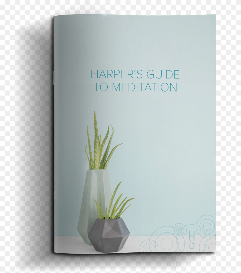 Meditation Agave, Jar, Plant, Planter, Potted Plant Free Png