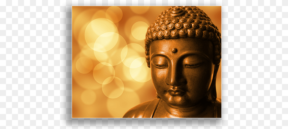 Meditation And Mindfulness Dhammapada, Art, Buddha, Prayer, Adult Free Png