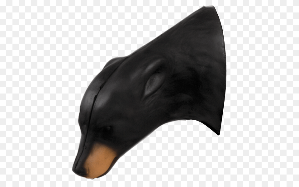 Medium Black Bear Head, Adult, Male, Man, Person Png Image