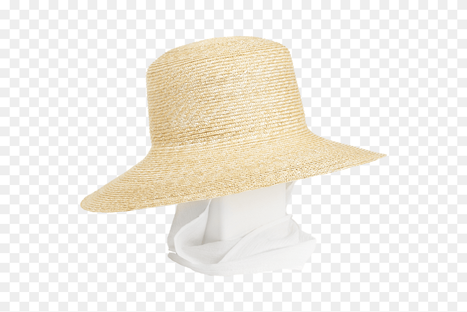 Medium Brim Flat Top Hat In Natural Straw W Neckshade, Clothing, Sun Hat Png Image