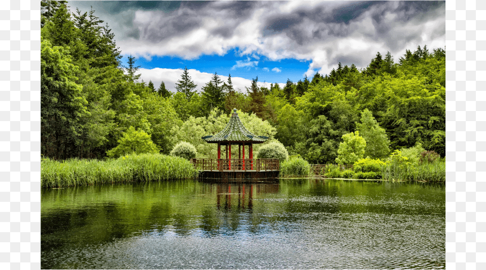 Medium Chinese Lake, Water, Tree, Fir, Scenery Png Image