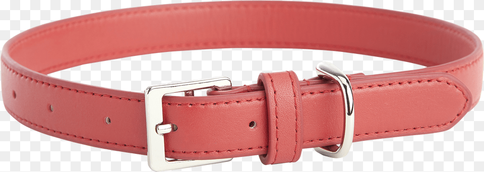 Medium Dog Collar Solid, Accessories, Belt, Buckle Png Image