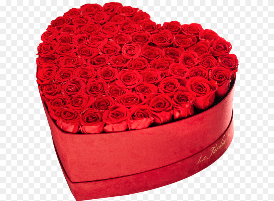Medium Heart Red Suede Box With Preserved Roses Heart Shape Collection, Birthday Cake, Cake, Cream, Dessert Free Png